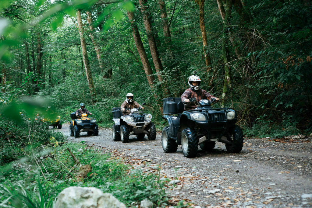 «Лесные просторы Ржева» 